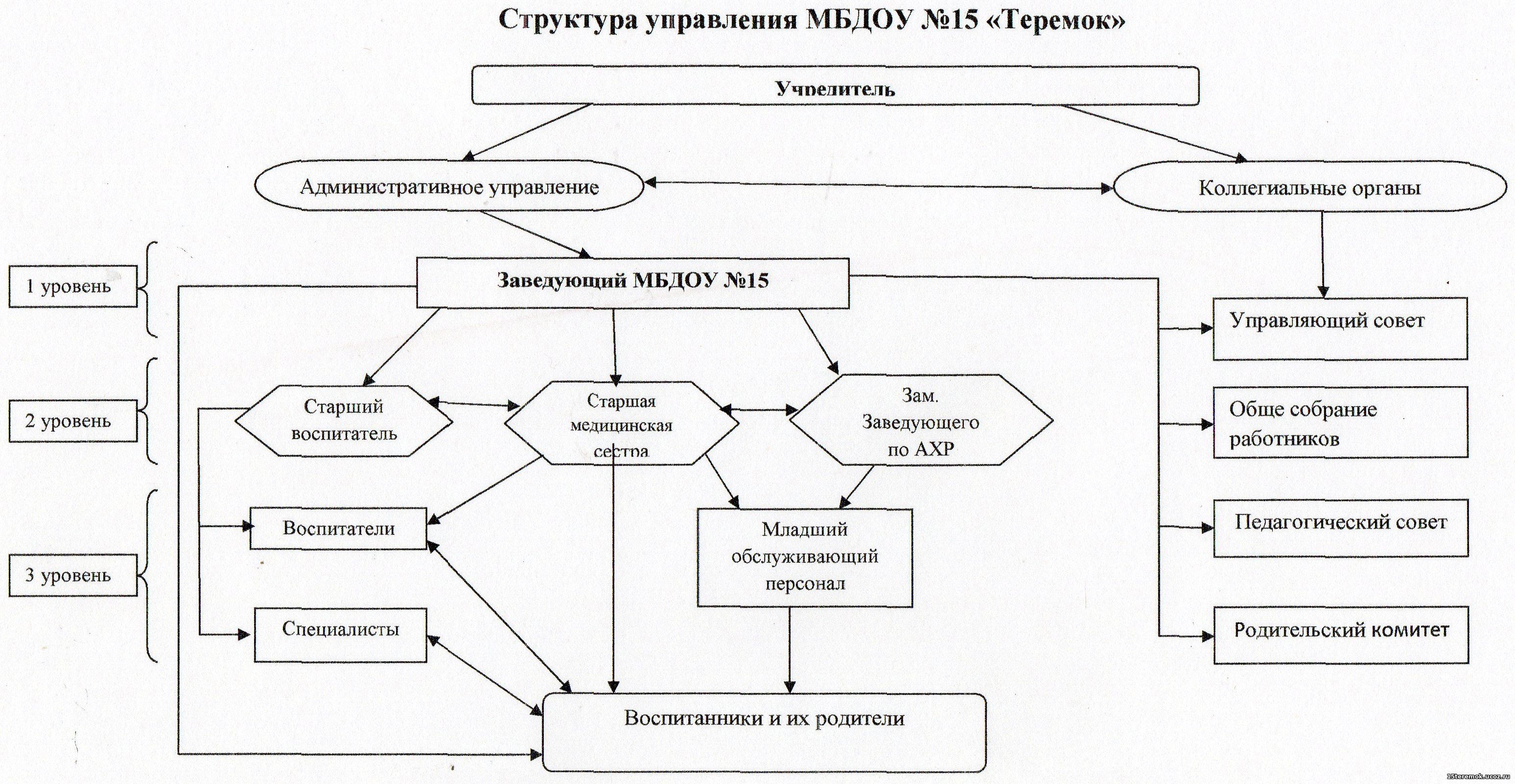 структура мбдоу.jpg